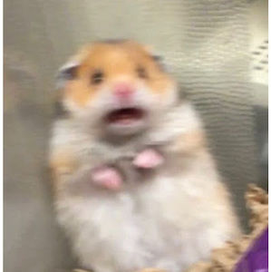 Meet your Posher, Edgar